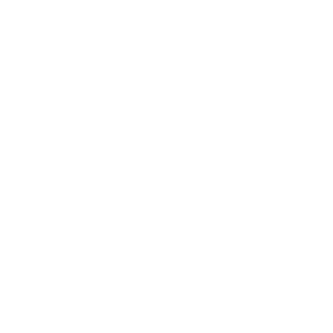 Logo blanc de Edin Hadzic, graphiste professionnel en 3D à Paris